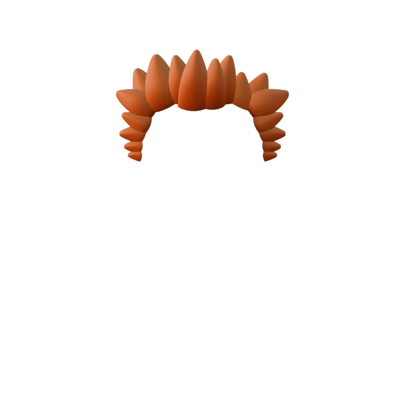 inscription 0aeed24f45e2d105f89200e6ebc6ba1d8ab7ccb1ef5063752f36eaaae23de243i0