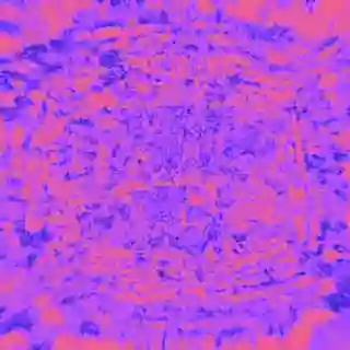 inscription 189e29b90d112bf1cd16aac8329dec41610c2336157ab7a8d377fe9dd948647ci0