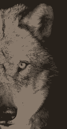 inscription 2c047eacfd697c1bb0a251aad2bf7b01f941ab0f0349318d802ec4d7e06f4e57i0