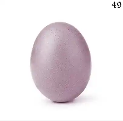 inscription 380a760151ab0e96c9483ca24f2df868f8d9c097d65cb1df65464fe99fe012d3i0