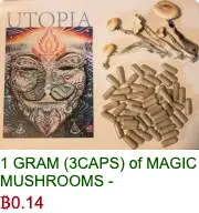 inscription 5b1209d265954b346133b671adb36cf11183b03877fb082c660e43b545f505a8i0