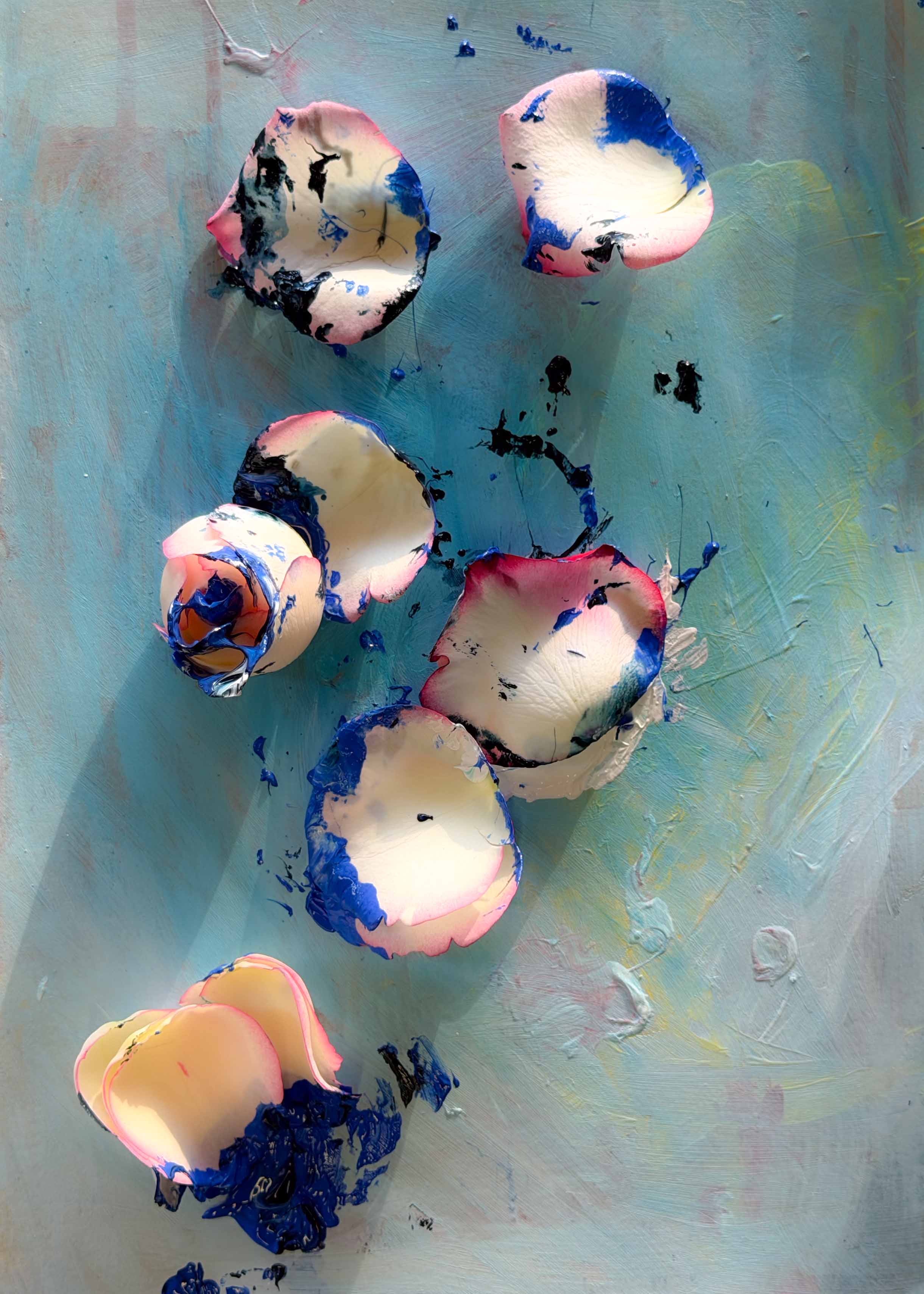 inscription 6153915abf42ca14dff9a8584cec9b98fad899da61ca567f921c89f06292c8d3i0