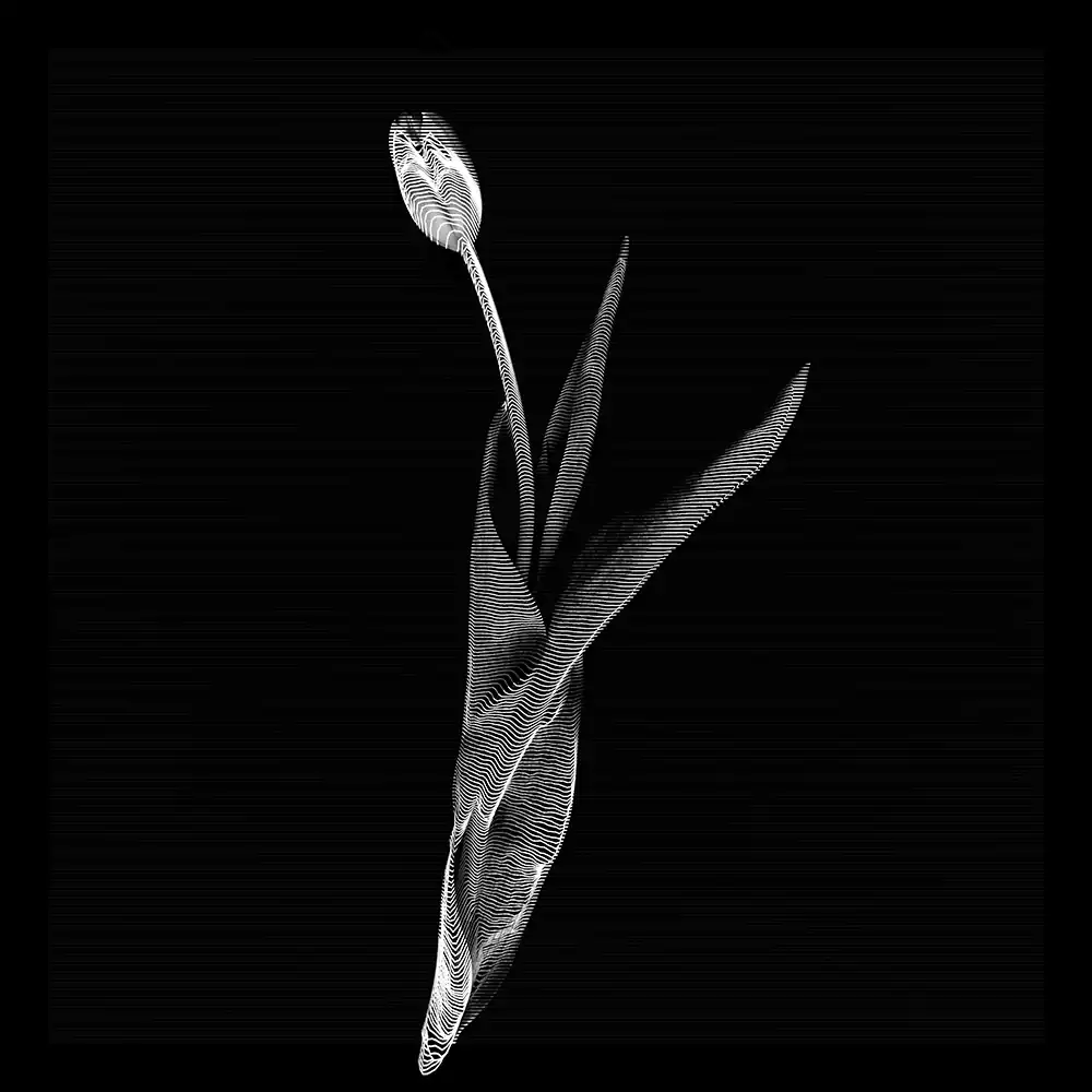 inscription 634e7bd4e8cee0782d228945c00eb77c31cc5e3fe4a8a091bfcdc39b2d939923i0