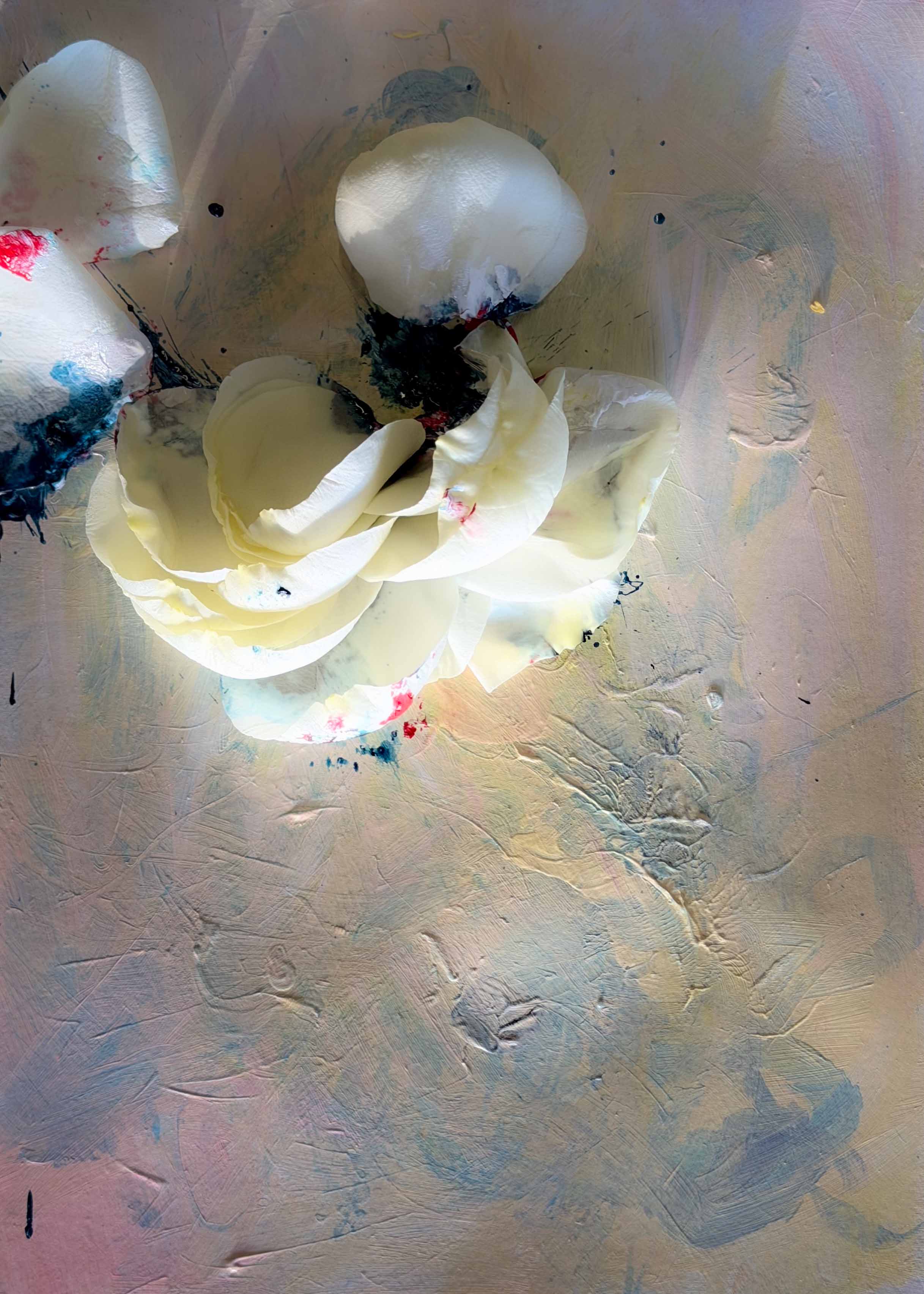 inscription 7699d16585a155130b1289ff67bd70fcf629cb03edd0631f696e82fd9c323207i0