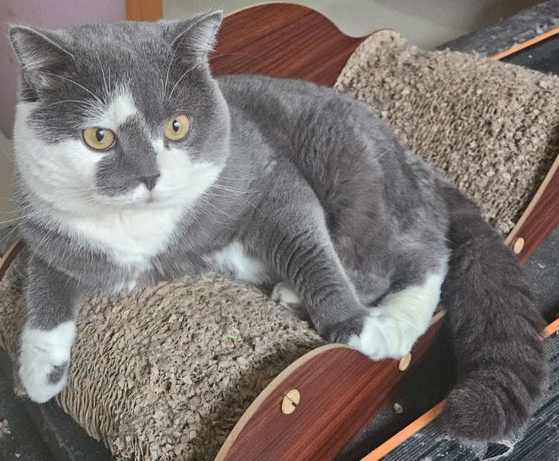 inscription 8a18ffd61c69a19e2bec5a4d302168f0ac7385464cf8987c76df69081630c3a8i0