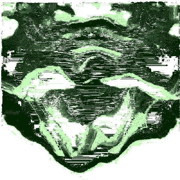 inscription 92d0a032597da7802fd8185c3a37273aae3010e908e1f0bba2d45fe7ecf4e456i0