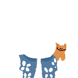 inscription bd6a6627cfda7dd6872e915deaa96c0da53f0ca5483eb84ed8c1cea2b6913114i24