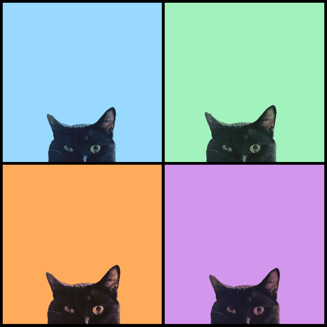 inscription e68b7f5903c4529d8bf770945d98495346f8eb9da51f1747d6037bb57504e6fei0