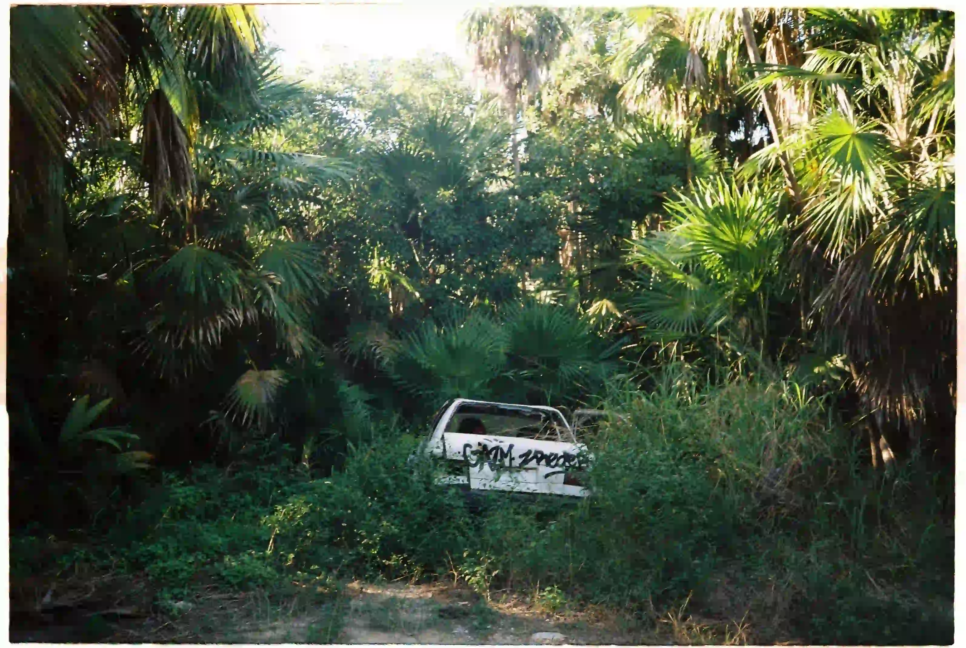 inscription fc0a15913c2472c684ea87d75c703621445413e526e904c8fe571e441cf0a7f1i0